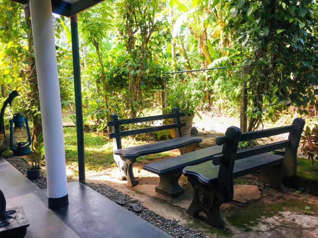 Nature Park 达瓦拉维 外观 照片